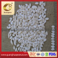 Hot Sale Snow White Pumpkin Seeds with Ce